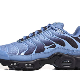 Nike Air Max Plus World Indigo DM0032-404