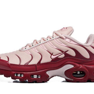 Nike Air Max Plus Red Sepia DZ3671-201