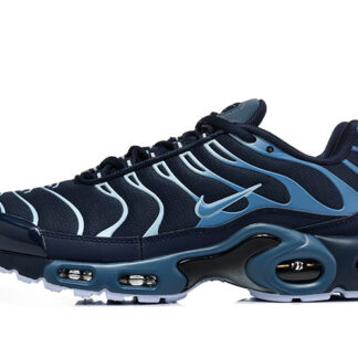 Nike Air Max Plus Obsidian Aluminum IM6601-451