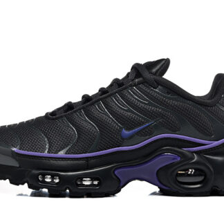 Nike Air Max Plus OG Iron Grey Wild Grape HV8066-001