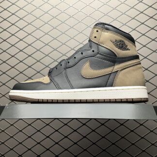 Jordan 1 Retro High OG Palomino DZ5485-020