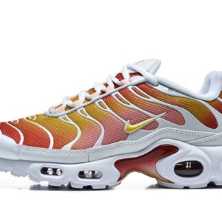 Nike Air Max Plus Rugged Orange DZ3670-007