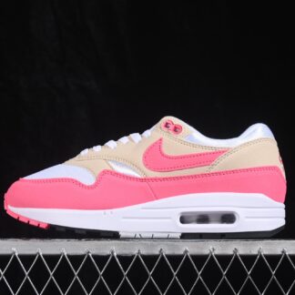 Nike Air Max 1 Aster Pink DZ2628-110