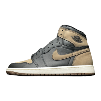 Jordan 1 Retro High OG Palomino DZ5485-020