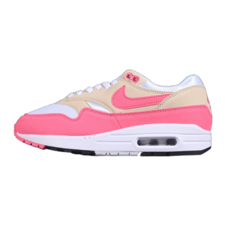 Nike Air Max 1 Aster Pink DZ2628-110