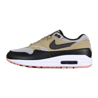 Nike Air Max 1 SC Dark Stucco FB9660-003