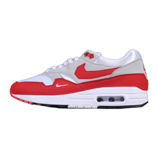 Nike Air Max 1 .SWOOSH Low Poly HQ5882-100