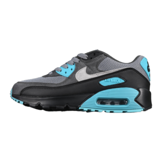 Nike Air Max 90 Cool Grey Dusty Cactus Black Wolf Grey DM0029-013