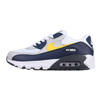 Nike Air Max 90 Michigan AJ1285-101