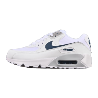Nike Air Max 90 Wolf Grey Diffused Blue IB7680-100