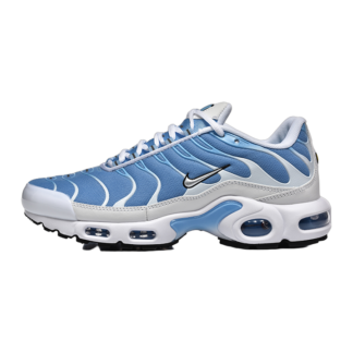 Nike Air Max Plus Aluminum DZ3671-105
