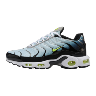 Nike Air Max Plus Black Bright Cactus CD0609-022