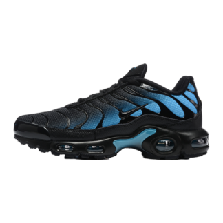 Nike Air Max Plus Black Dusty Cactus DM0032-016