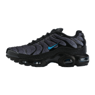 Nike Air Max Plus Black Hex DC1935-001