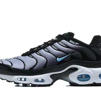 Nike Air Max Plus Black Light Smoke Grey Football Blue DM0032-042