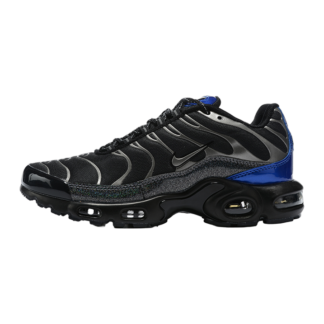 Nike Air Max Plus Black Metallic CW2646-001