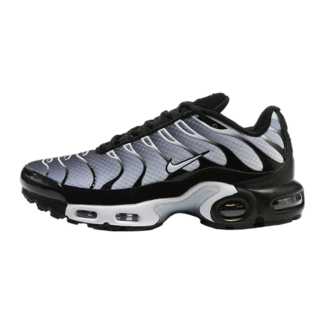 Nike Air Max Plus Black Silver White DM0032-003