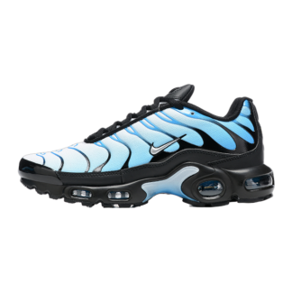 Nike Air Max Plus Blue Gradient FQ0204-010