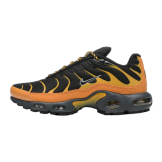 Nike Air Max Plus Bronzine FB9722-700
