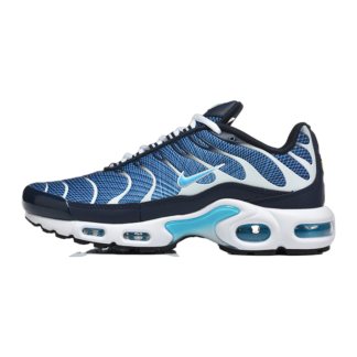 Nike Air Max Plus Dark Obsidian IH4460-400