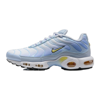Nike Air Max Plus Daybreak DZ3670-004