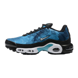 Nike Air Max Plus Dot Pattern Black Dusty Cactus HV6355-001