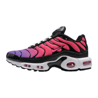 Nike Air Max Plus Dusk DZ3670-500
