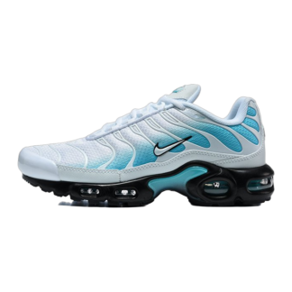 Nike Air Max Plus Dusty Cactus IU7539-345