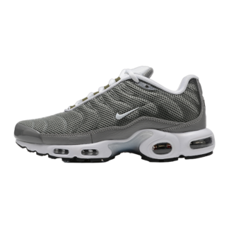 Nike Air Max Plus Flat Pewter DV7665-002