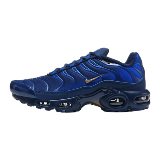 Nike Air Max Plus French Football Federation IQ0170-400