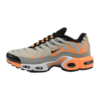 Nike Air Max Plus Grey Orange DM0032-001
