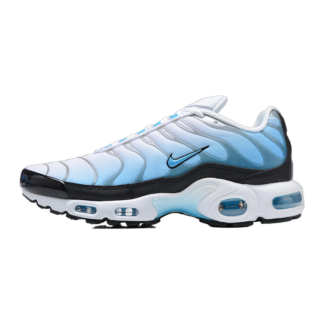 Nike Air Max Plus Ice FD9767-100