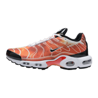 Nike Air Max Plus Light Photography DZ3531-600