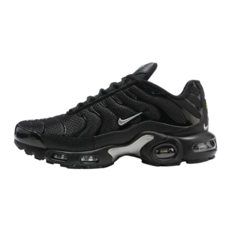 Nike Air Max Plus Mini Swoosh Black Silver DX8971-001