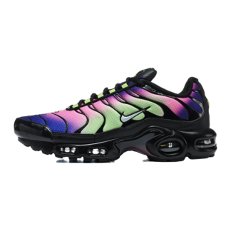Nike Air Max Plus Northern Lights DZ3670-006
