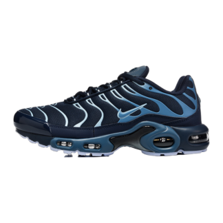 Nike Air Max Plus Obsidian Aluminum IM6601-451