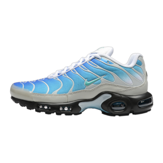 Nike Air Max Plus One Block Down Light Photo Blue FZ3308-400