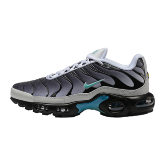 Nike Air Max Plus One Block Down Matte Silver FZ3308-001
