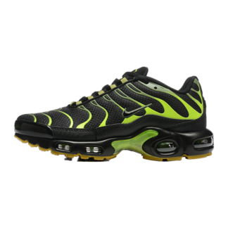 Nike Air Max Plus Pacific Moss DM0032-010