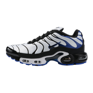 Nike Air Max Plus Persian Violet White DB0682-100