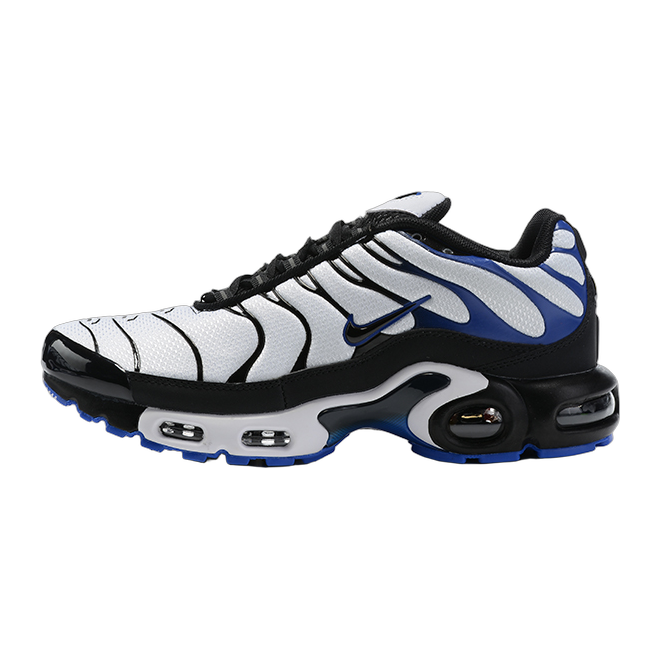 Nike Air Max Plus Persian Violet White DB0682-100