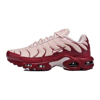 Nike Air Max Plus Red Sepia DZ3671-201