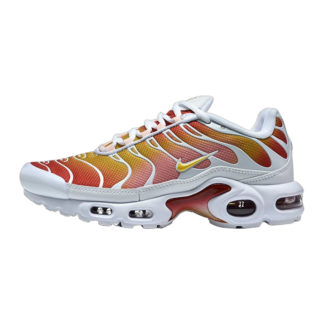 Nike Air Max Plus Rugged Orange DZ3670-007