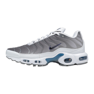 Nike Air Max Plus Smoke Grey Ashen Slate FQ2892-100
