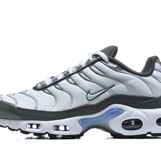 Nike Air Max Plus Smoke Grey IV5757-070