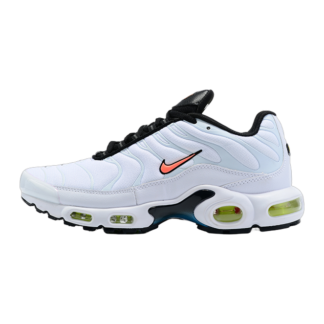 Nike Air Max Plus TN Nerf DQ4696-100