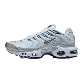 Nike Air Max Plus White Ashen Slate Metallic Silver ir1992-100