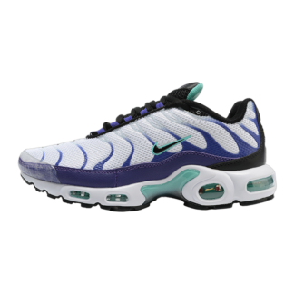 Nike Air Max Plus White Grape Ice DM0032-100