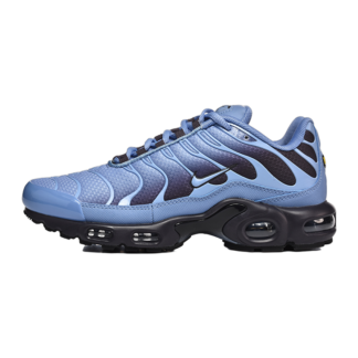 Nike Air Max Plus World Indigo DM0032-404