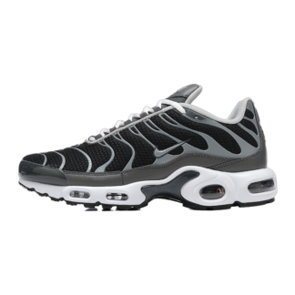 Nike Air Max Plus Greyscale Cool Grey DZ2655-001